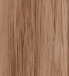 Castanea